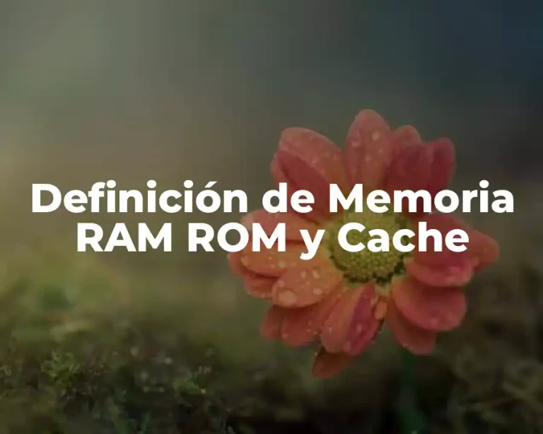 Definición de Memoria RAM ROM y Cache