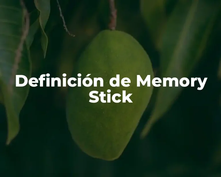 Definición de Memory Stick
