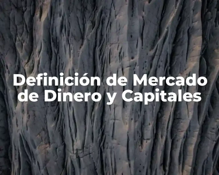 Definición de Mercado de Dinero y Capitales