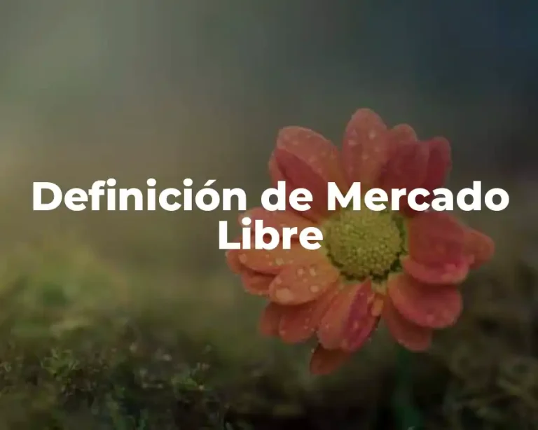Definición de Mercado Libre