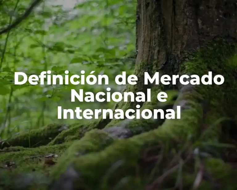 Definición de Mercado Nacional e Internacional