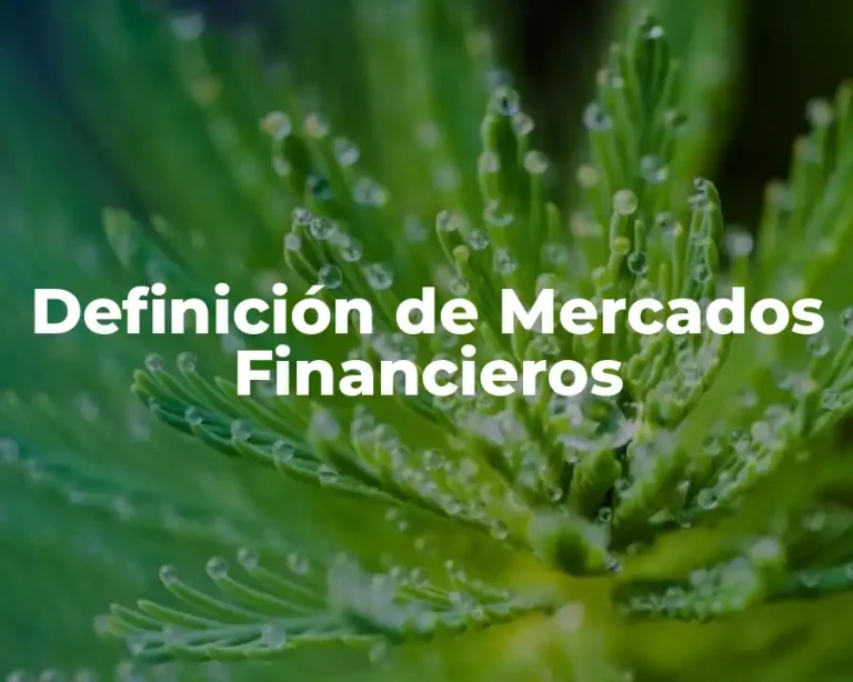 Definición de Mercados Financieros