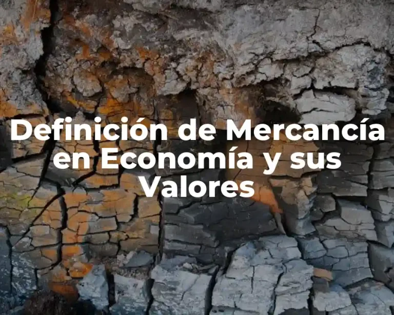 Definición de Mercancía en Economía y sus Valores