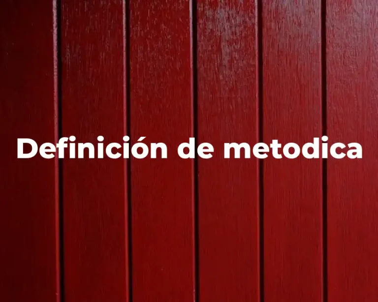 Definición de metodica