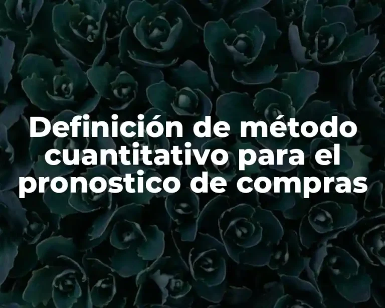 Definición de método cuantitativo para el pronostico de compras