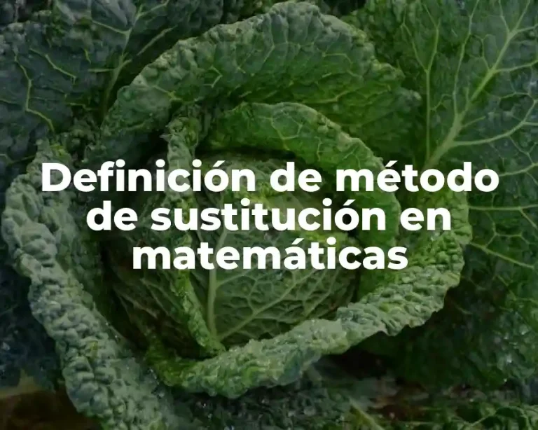 Definición de método de sustitución en matemáticas