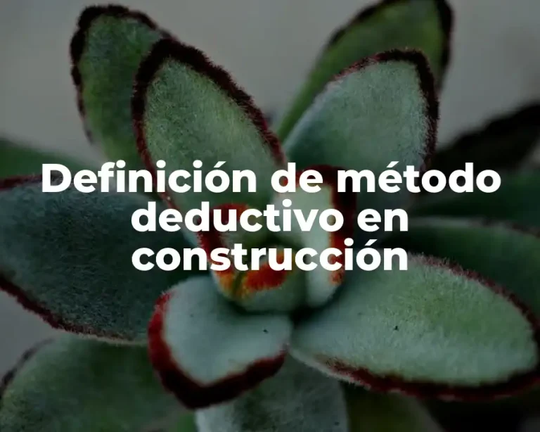 Definición de método deductivo en construcción