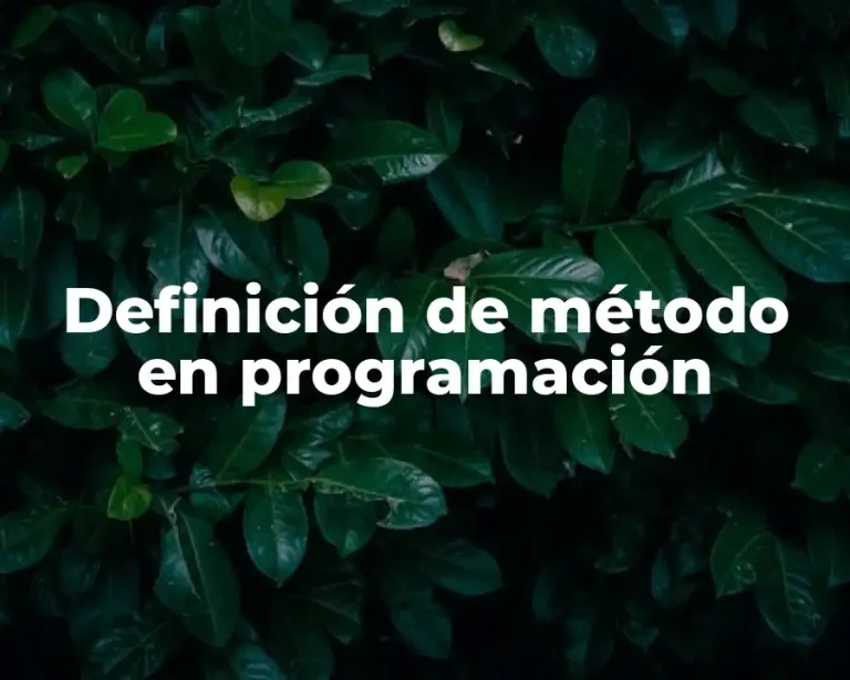 Definición de método en programación