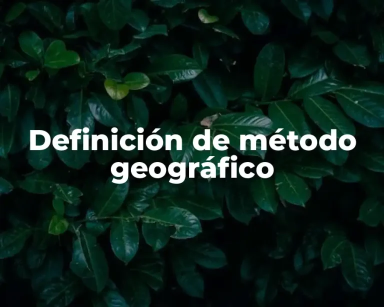 Definición de método geográfico