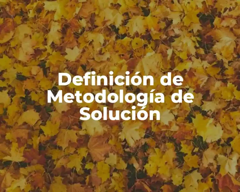 Definición de Metodología de Solución