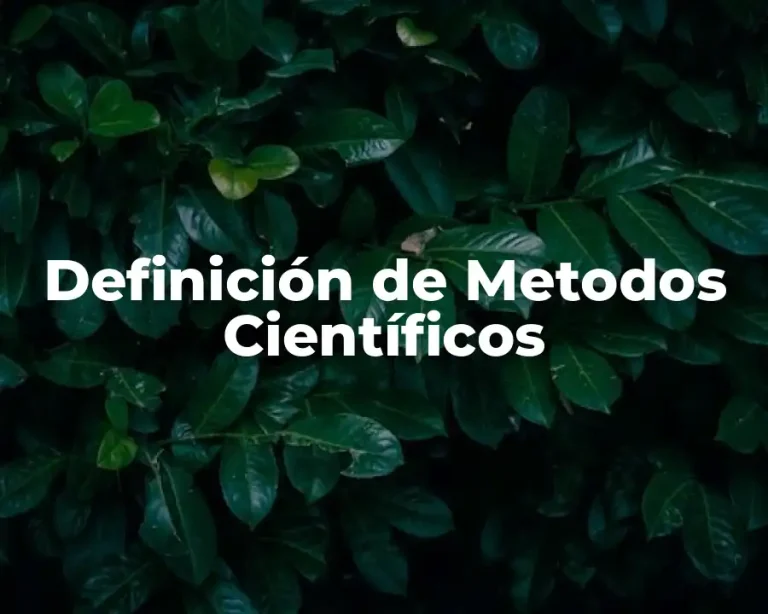 Definición de Metodos Científicos