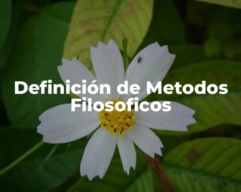 Definición de Metodos Filosoficos