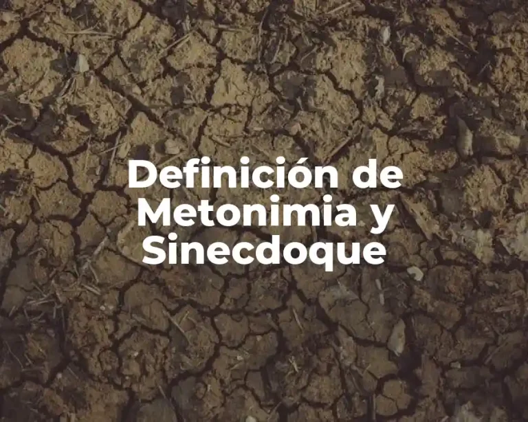 Definición de Metonimia y Sinecdoque