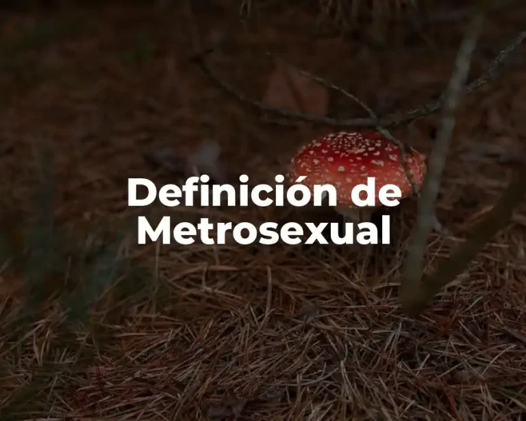 Definición de Metrosexual