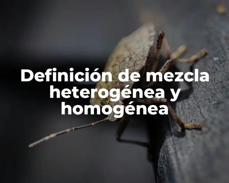 Definición de mezcla heterogénea y homogénea