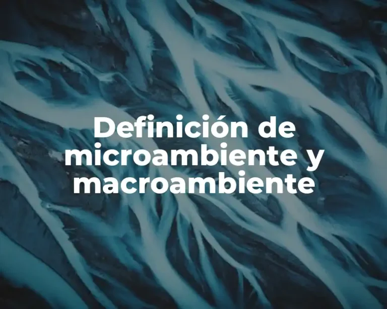 Definición de microambiente y macroambiente