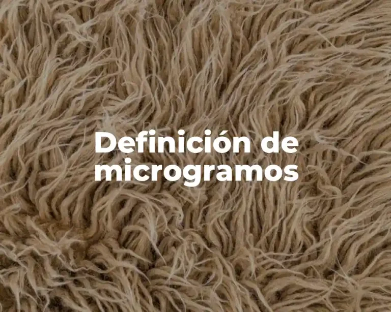 Definición de microgramos