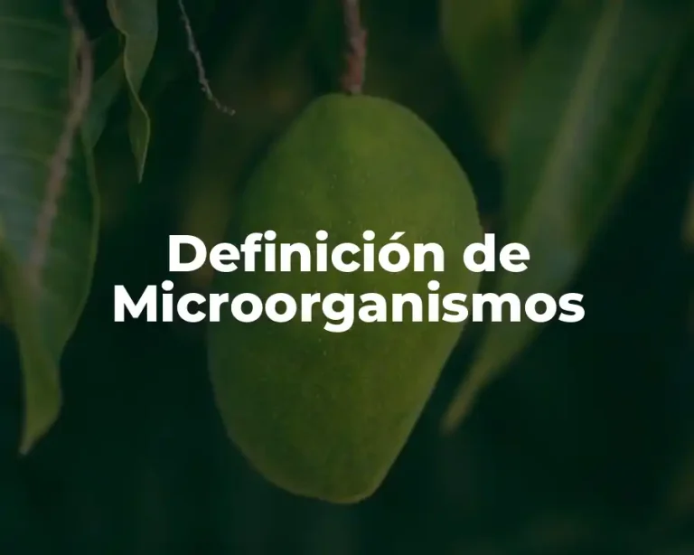 Definición de Microorganismos