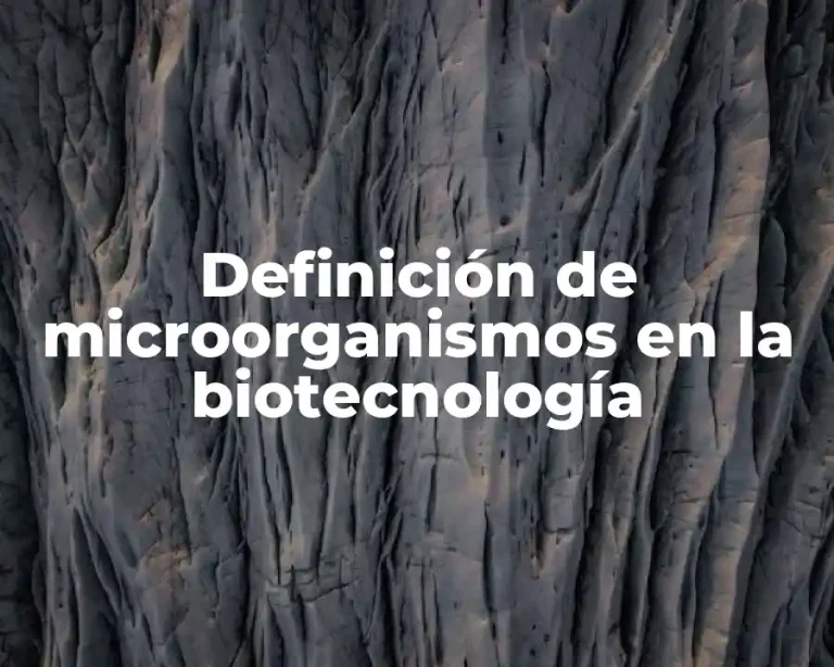 Definición de microorganismos en la biotecnología