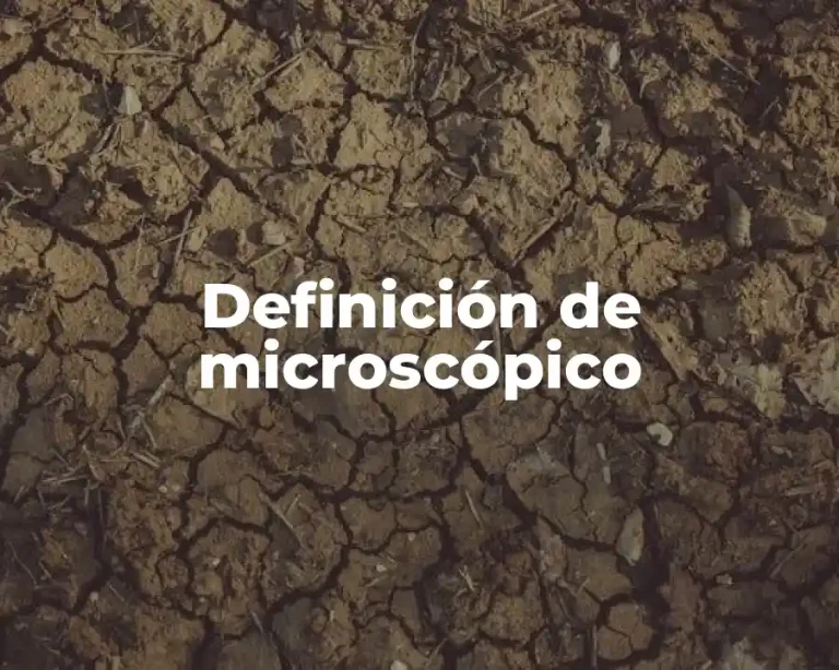 Definición de microscópico