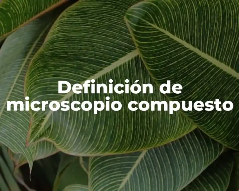 Definición de microscopio compuesto