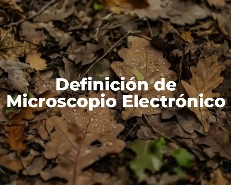 Definición de Microscopio Electrónico