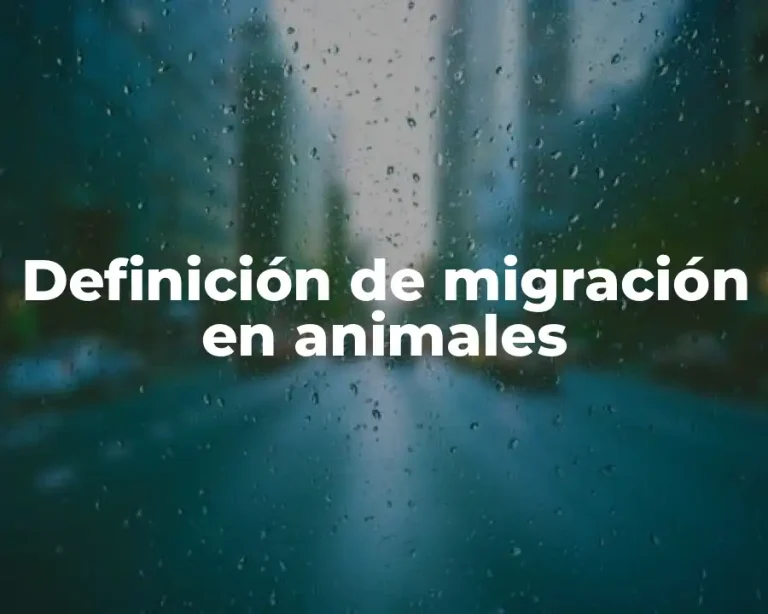 Definición de migración en animales