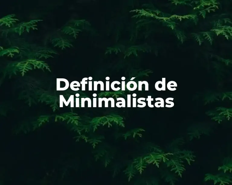 Definición de Minimalistas