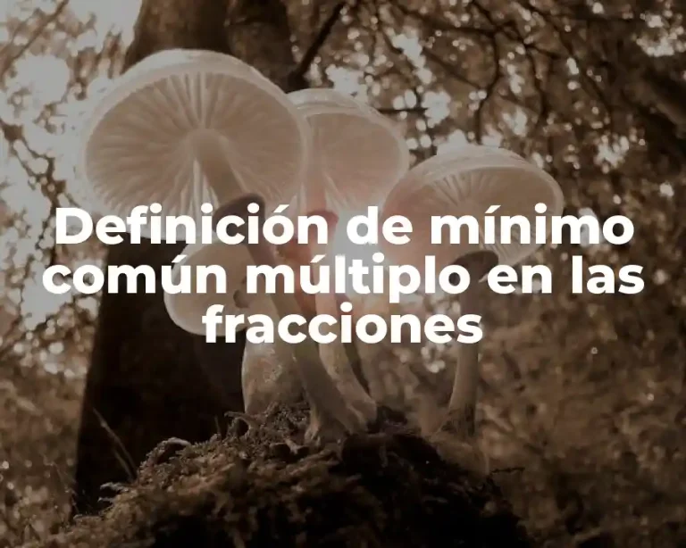 Definición de mínimo común múltiplo en las fracciones