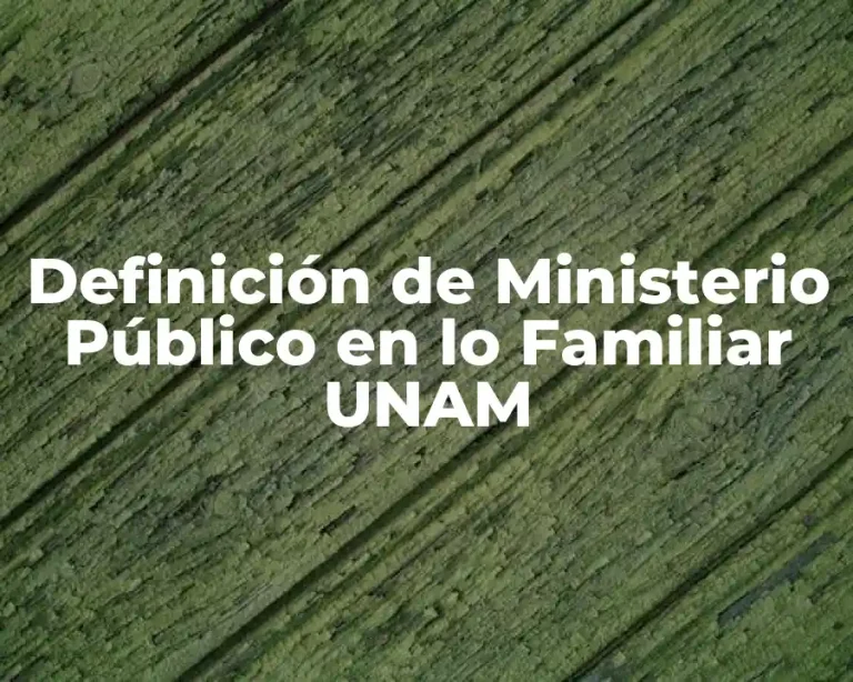 Definición de Ministerio Público en lo Familiar UNAM