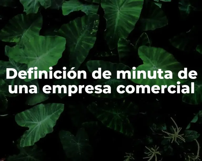 Definición de minuta de una empresa comercial