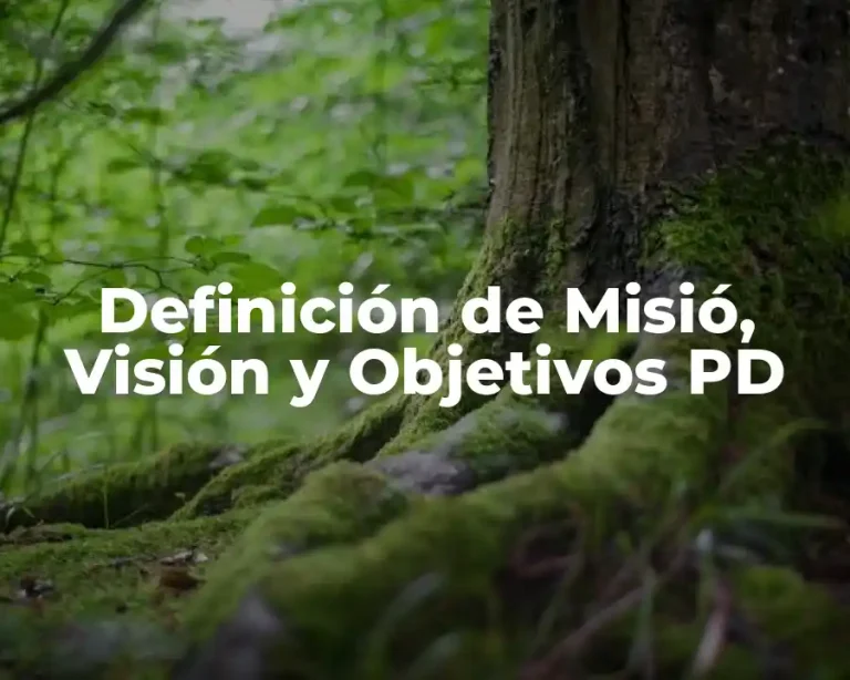 Definición de Misió, Visión y Objetivos PD