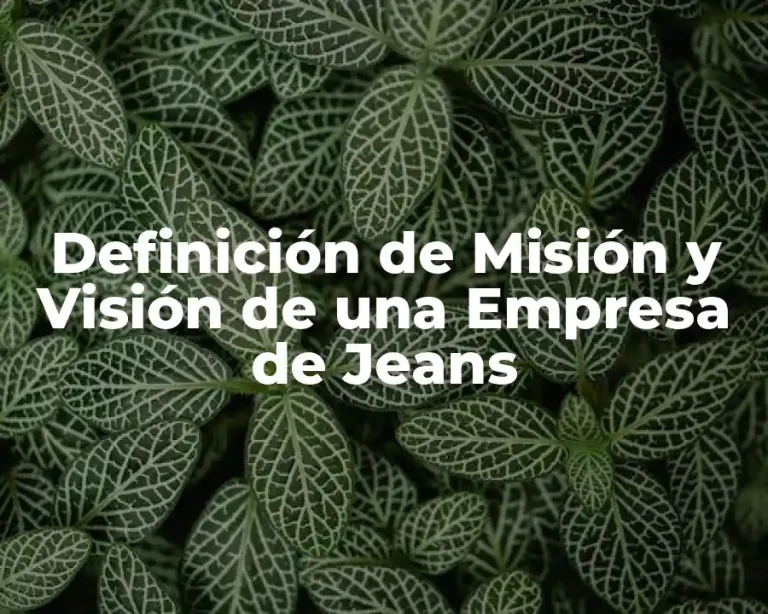 Definición de Misión y Visión de una Empresa de Jeans