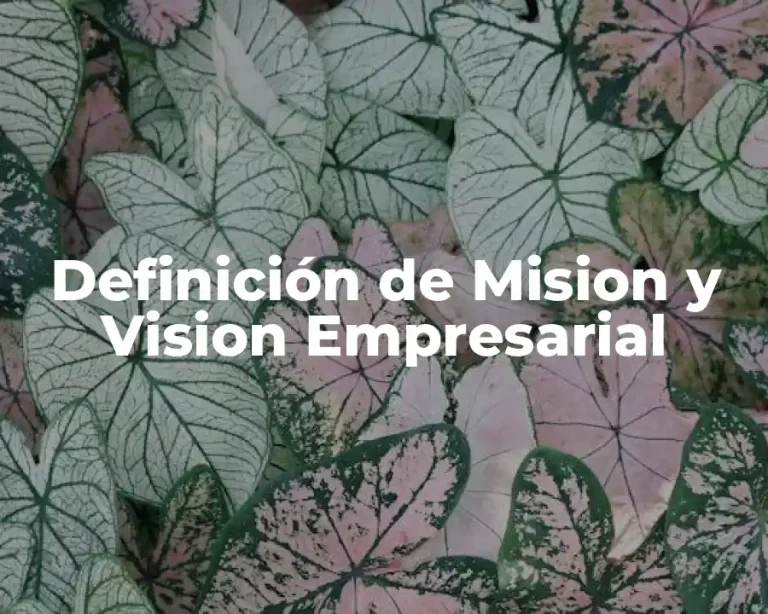 Definición de Mision y Vision Empresarial