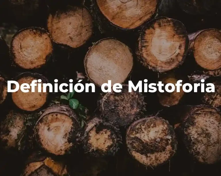 Definición de Mistoforia