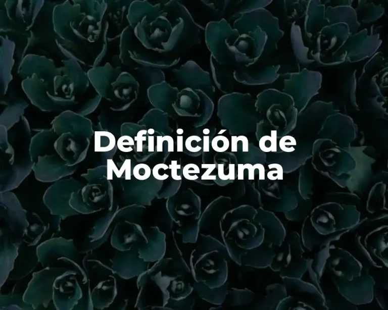 Definición de Moctezuma