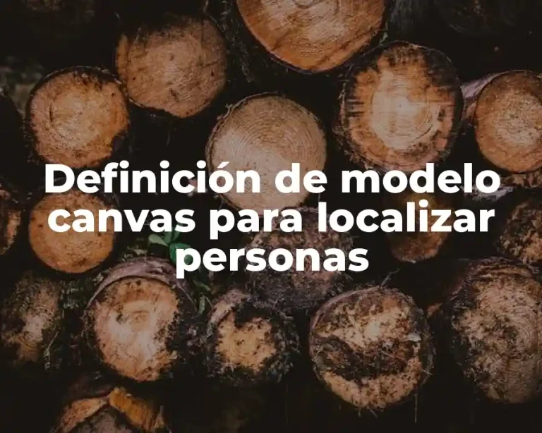Definición de modelo canvas para localizar personas