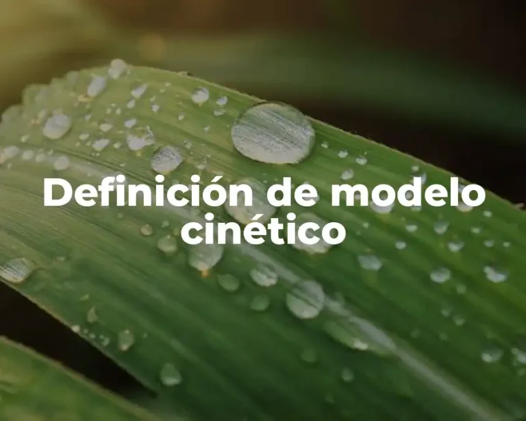 Definición de modelo cinético