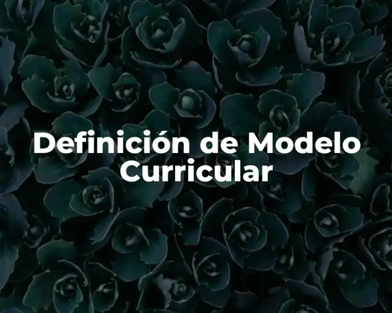 Definición de Modelo Curricular