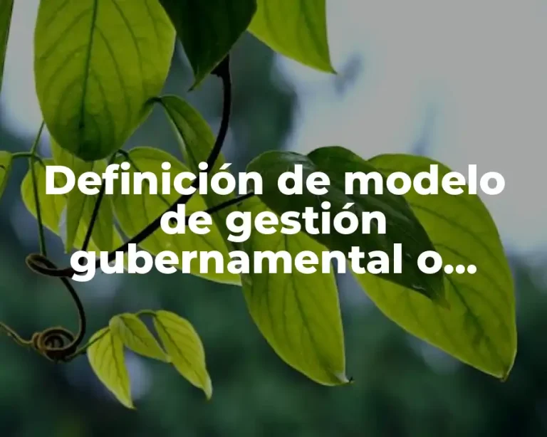 Definición de modelo de gestión gubernamental o gobernanza