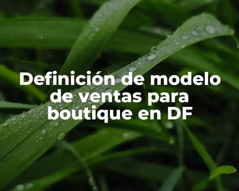 Definición de modelo de ventas para boutique en DF