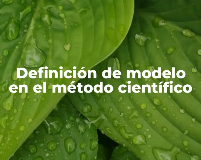 Definición de modelo en el método científico