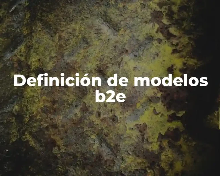 Definición de modelos b2e