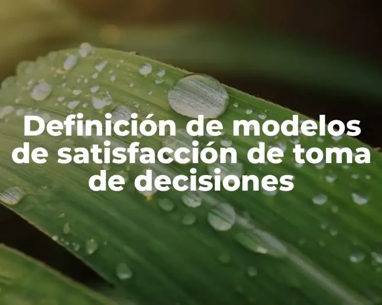 Definición de modelos de satisfacción de toma de decisiones
