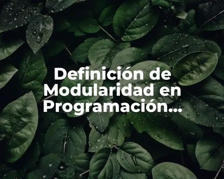 Definición de Modularidad en Programación Orientada a Objetos