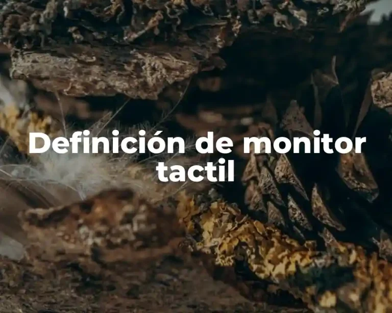 Definición de monitor tactil