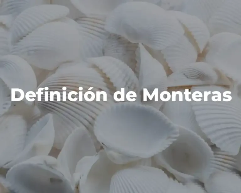 Definición de Monteras