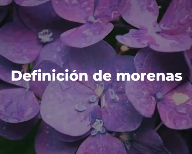 Definición de morenas