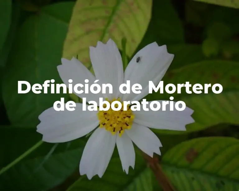 Definición de Mortero de laboratorio