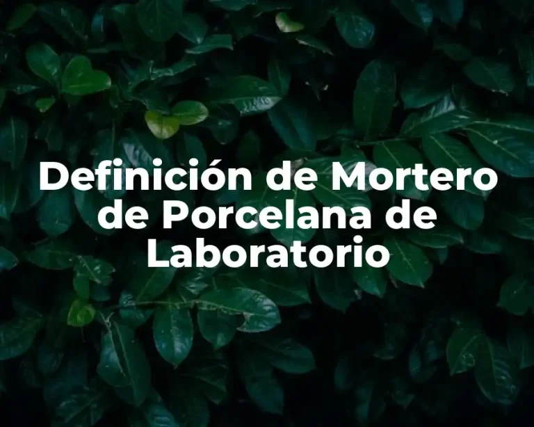Definición de Mortero de Porcelana de Laboratorio